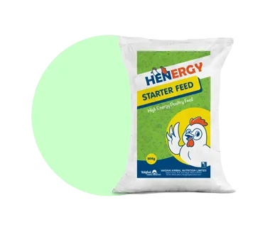 Henergy--starter-feed