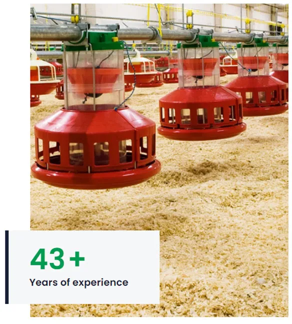 animal feed manufactures in india