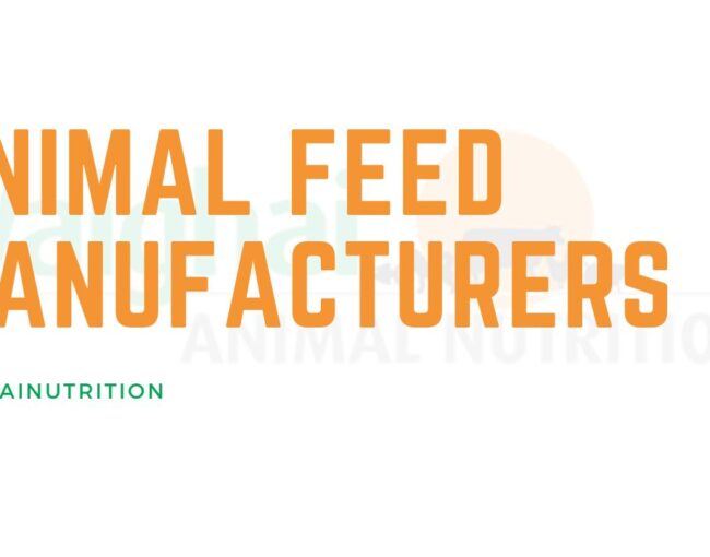animal feed manufacturers in tamil nadu